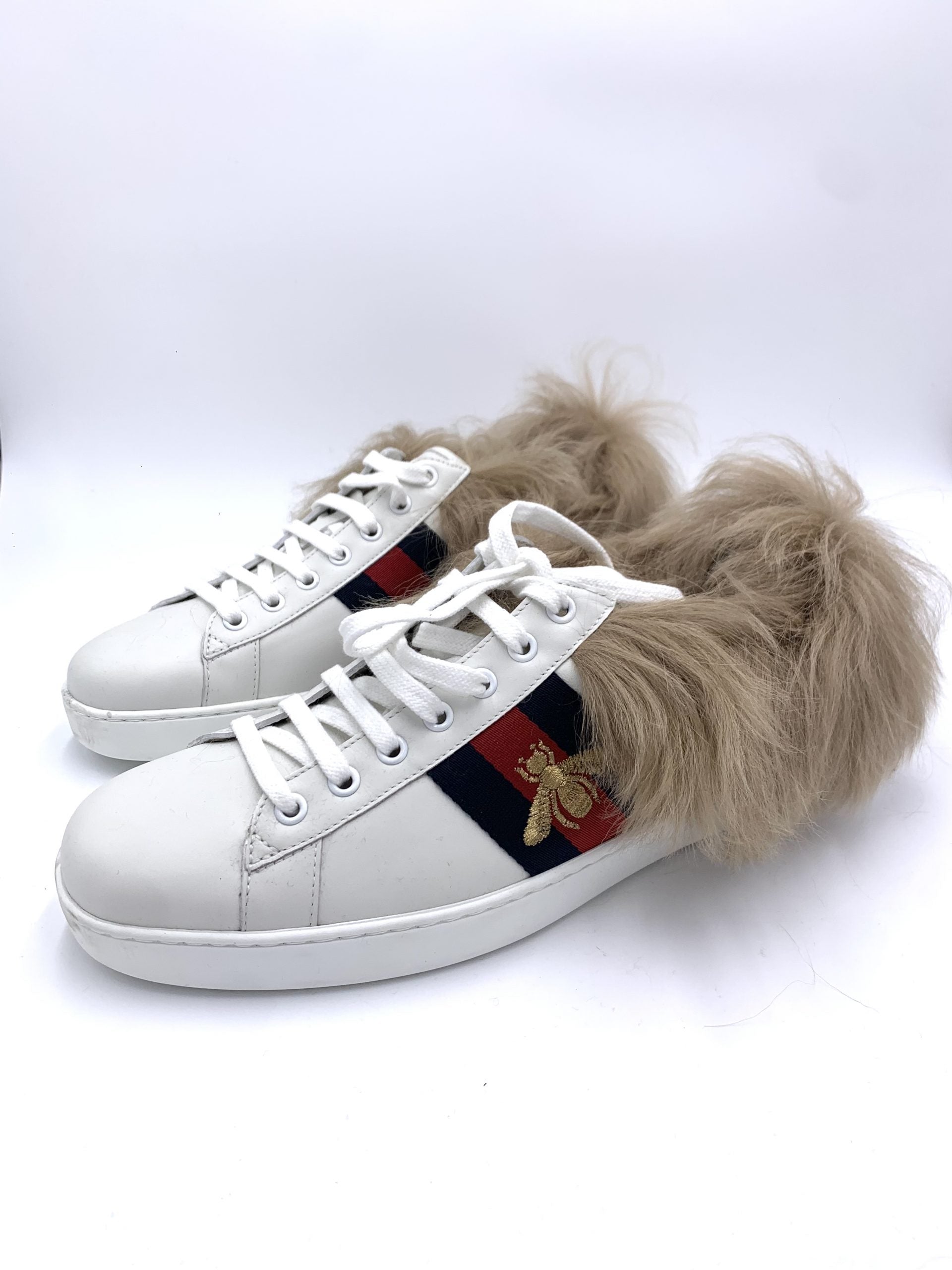 Scarpe Sneakers Gucci