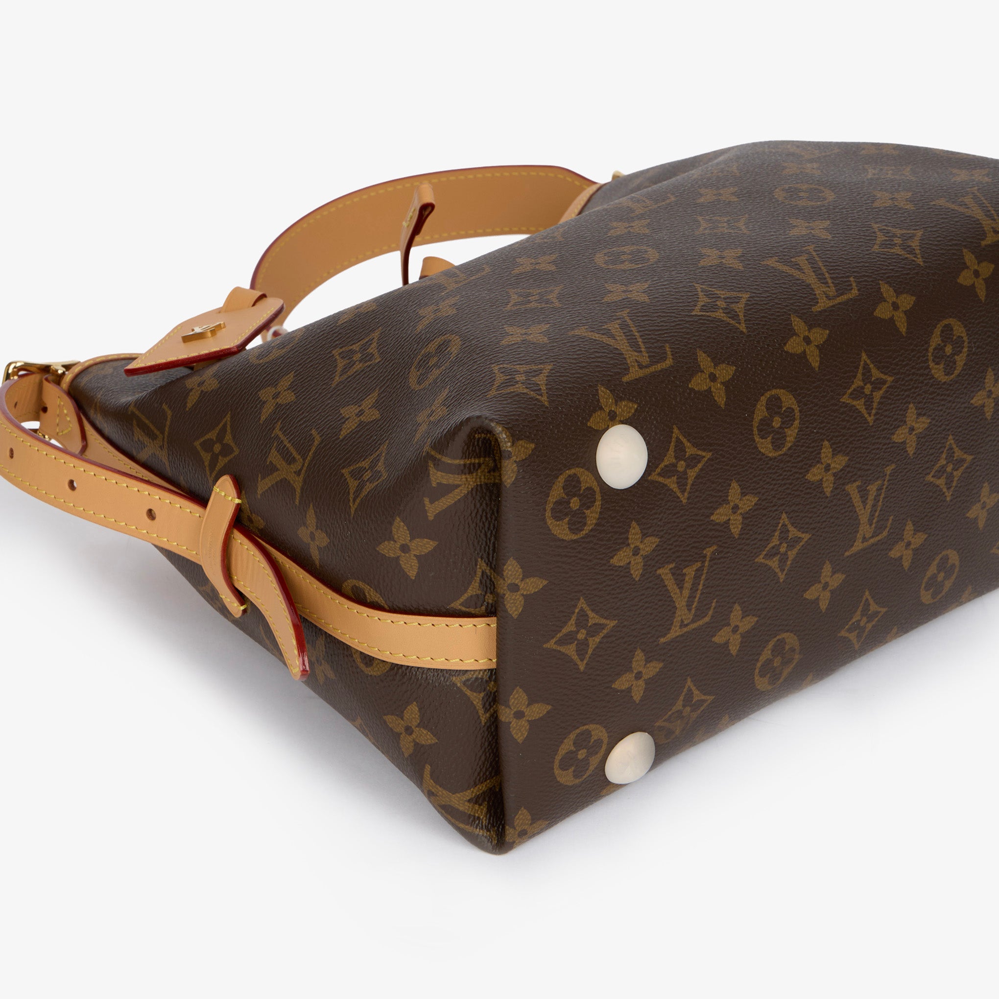 Borsa Louis Vuitton CarryAll