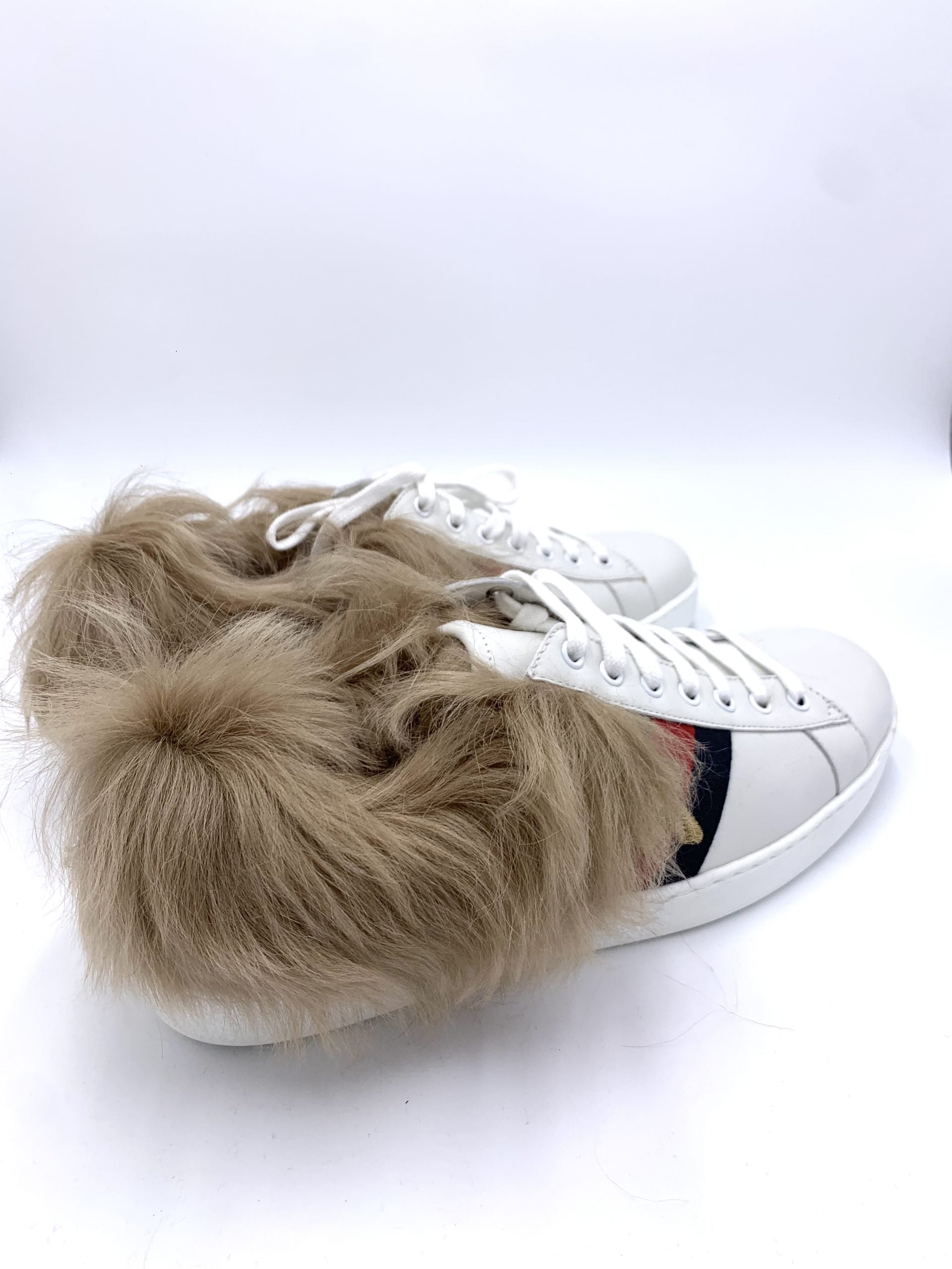 Scarpe Sneakers Gucci