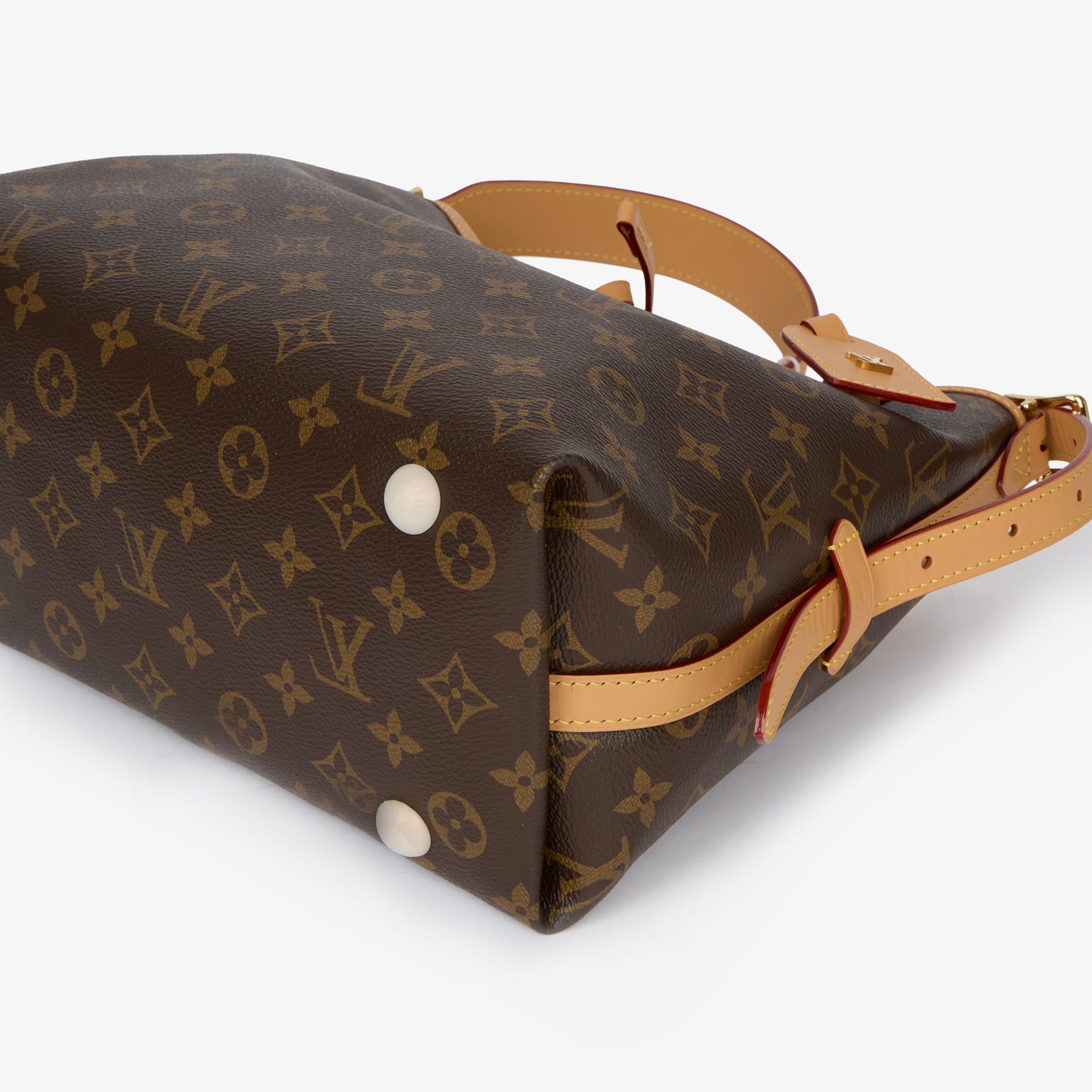 Borsa Louis Vuitton CarryAll