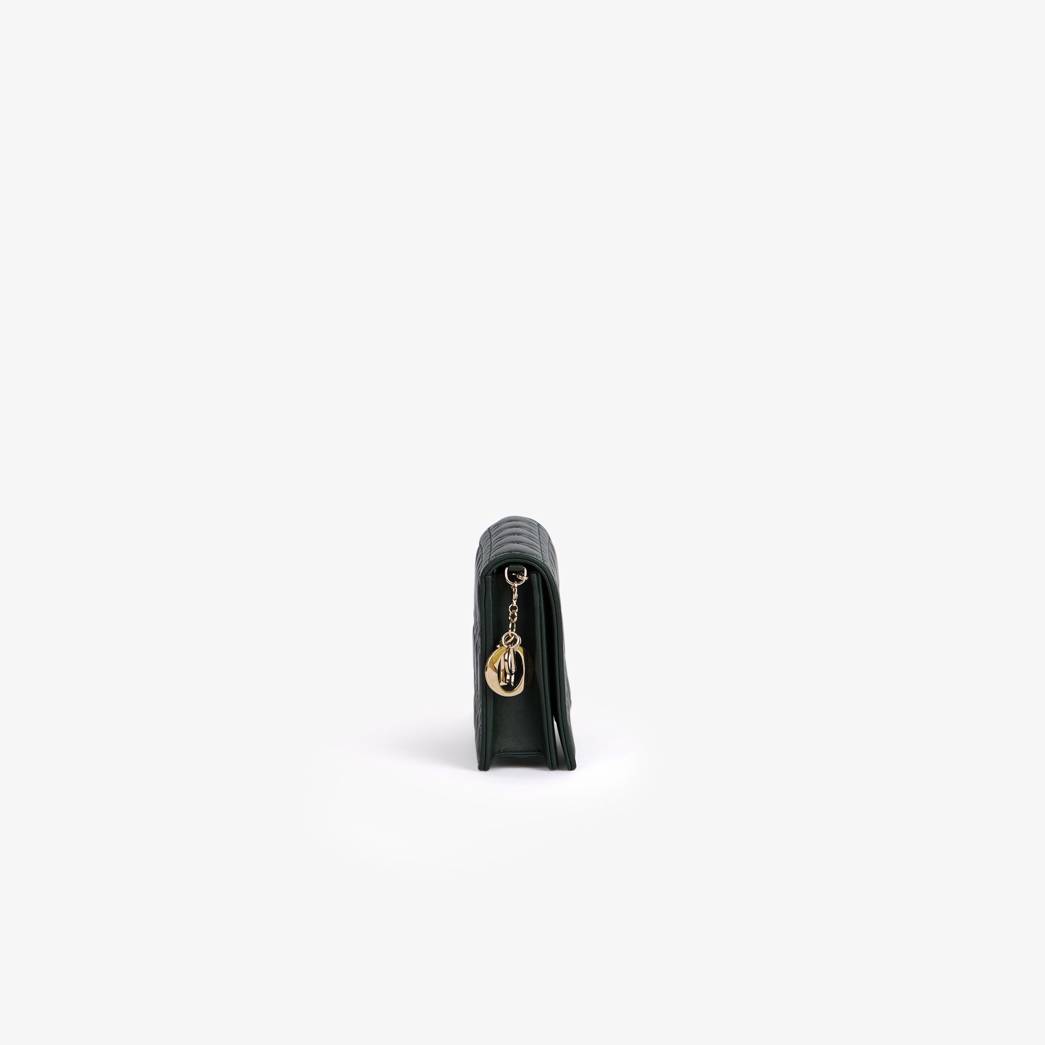 Borsa Lady Dior Pochette