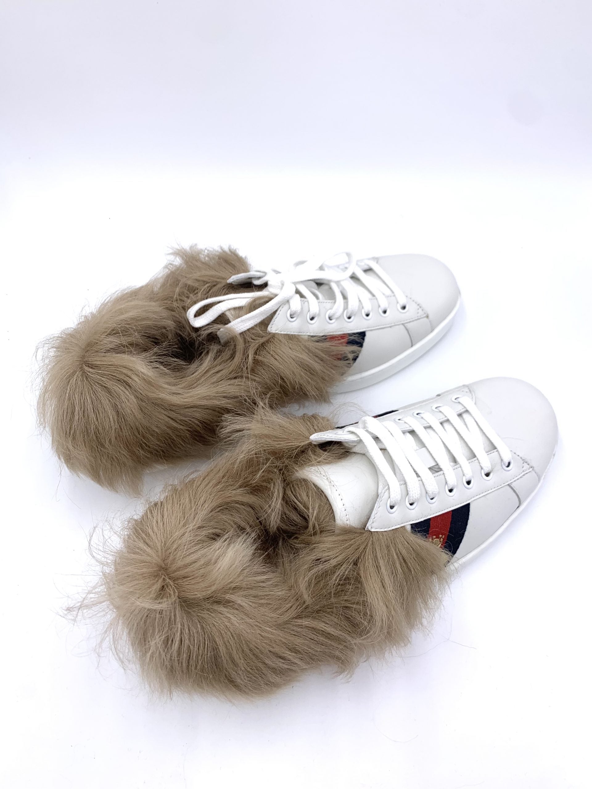 Scarpe Sneakers Gucci