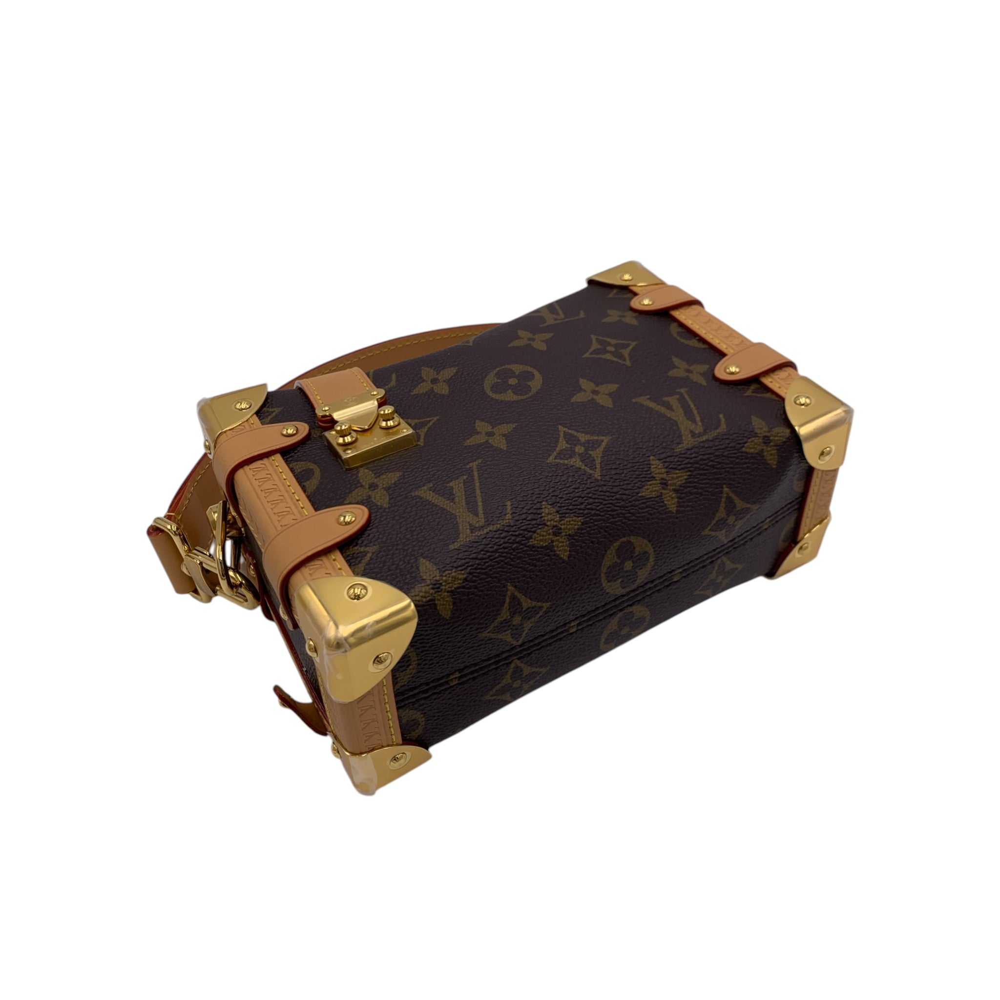 Borsa Louis Vuitton Side Trunk