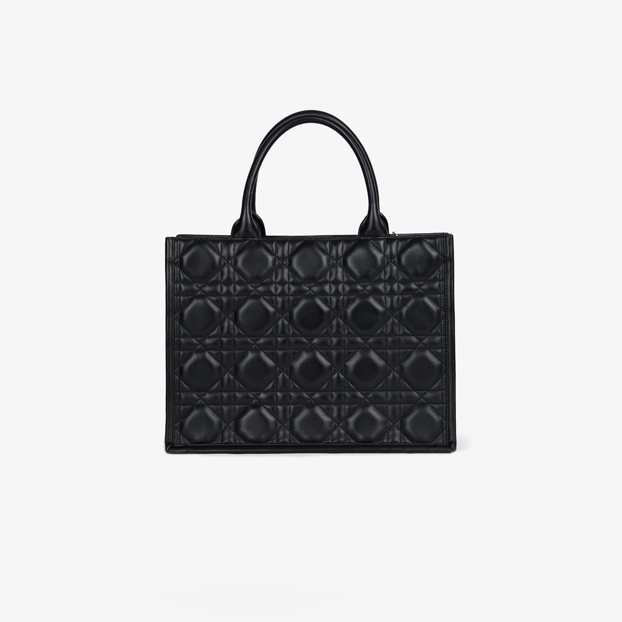 Borsa Dior Book Tote