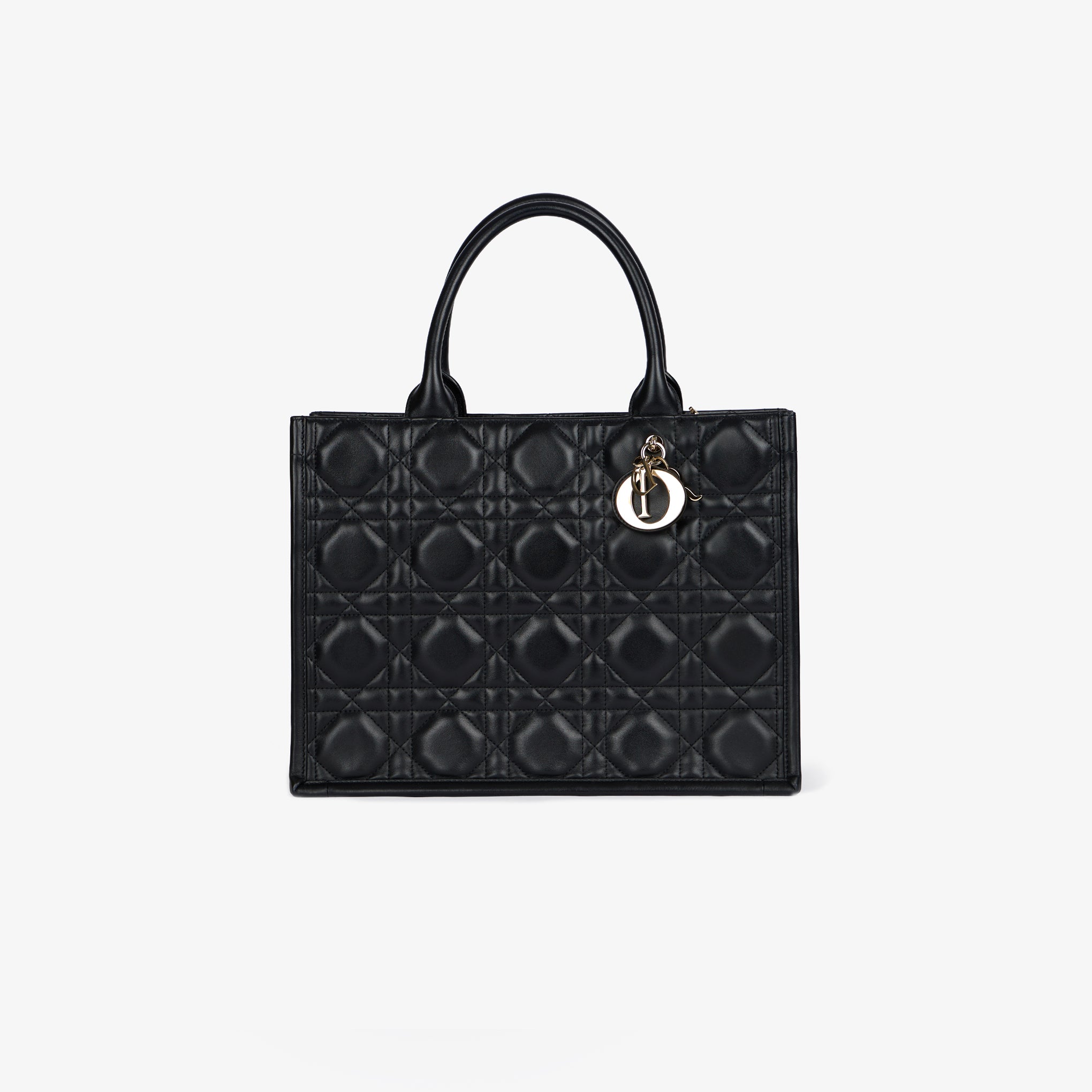 Borsa Dior Book Tote