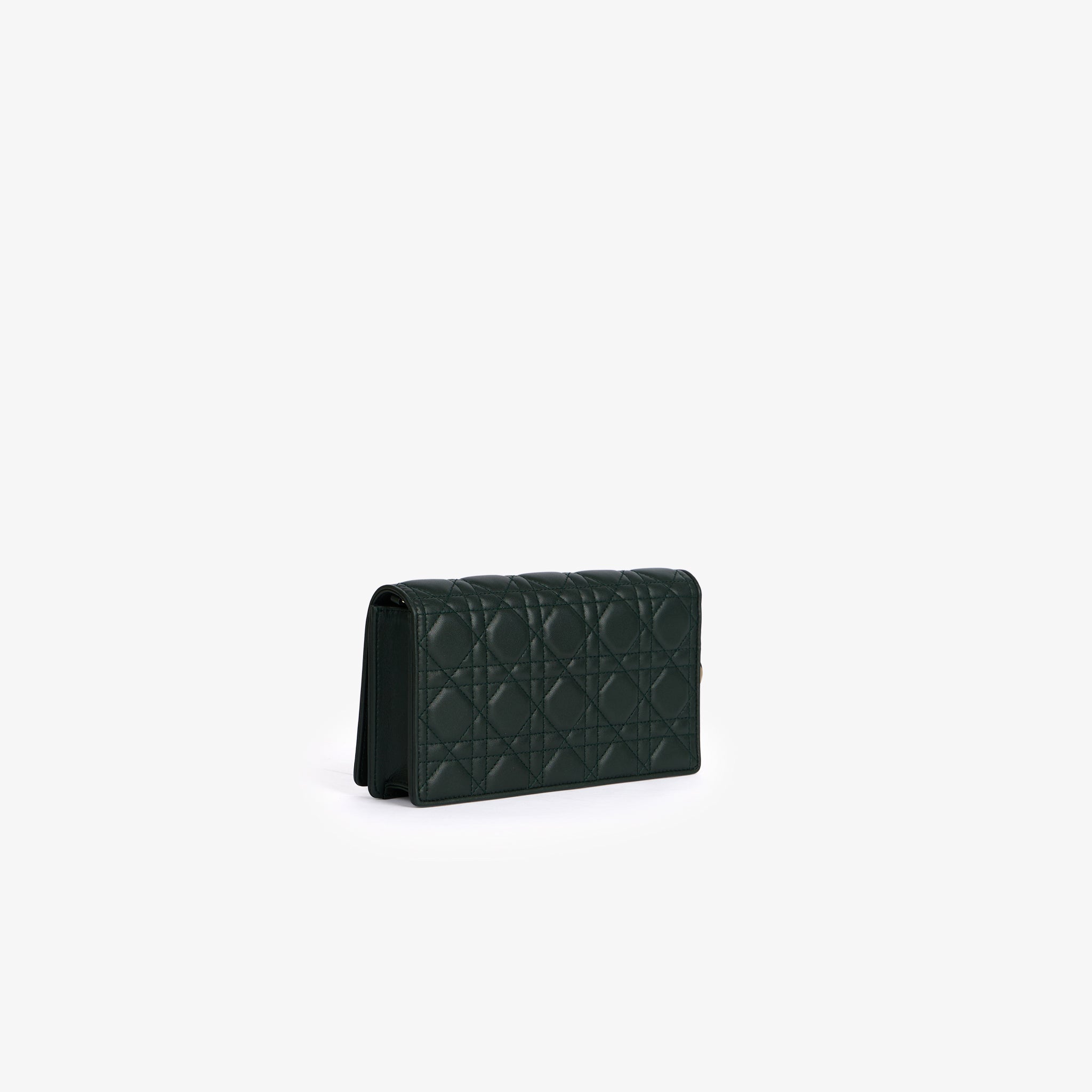 Borsa Lady Dior Pochette