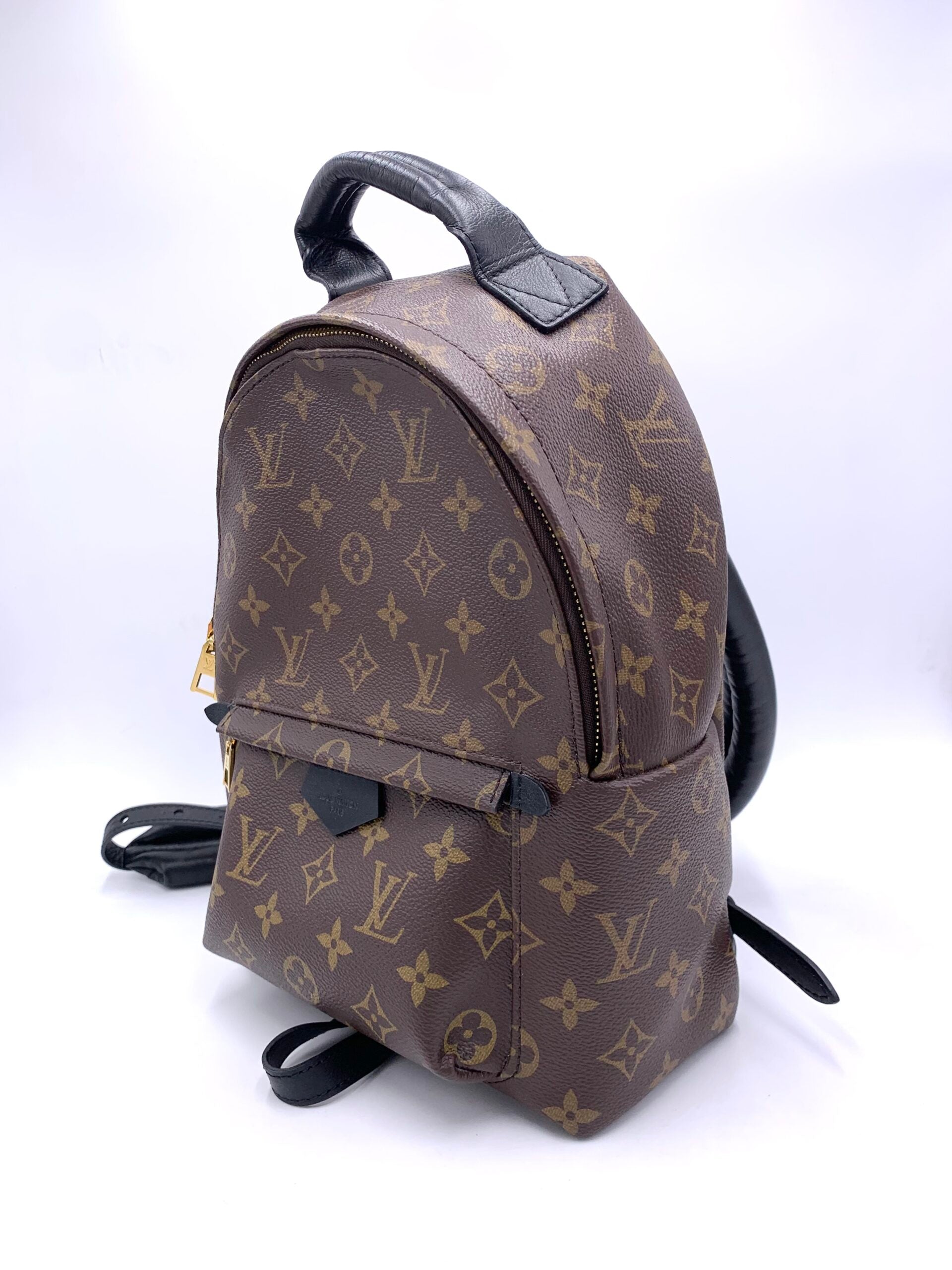 Zaino Louis Vuitton Palm Spring
