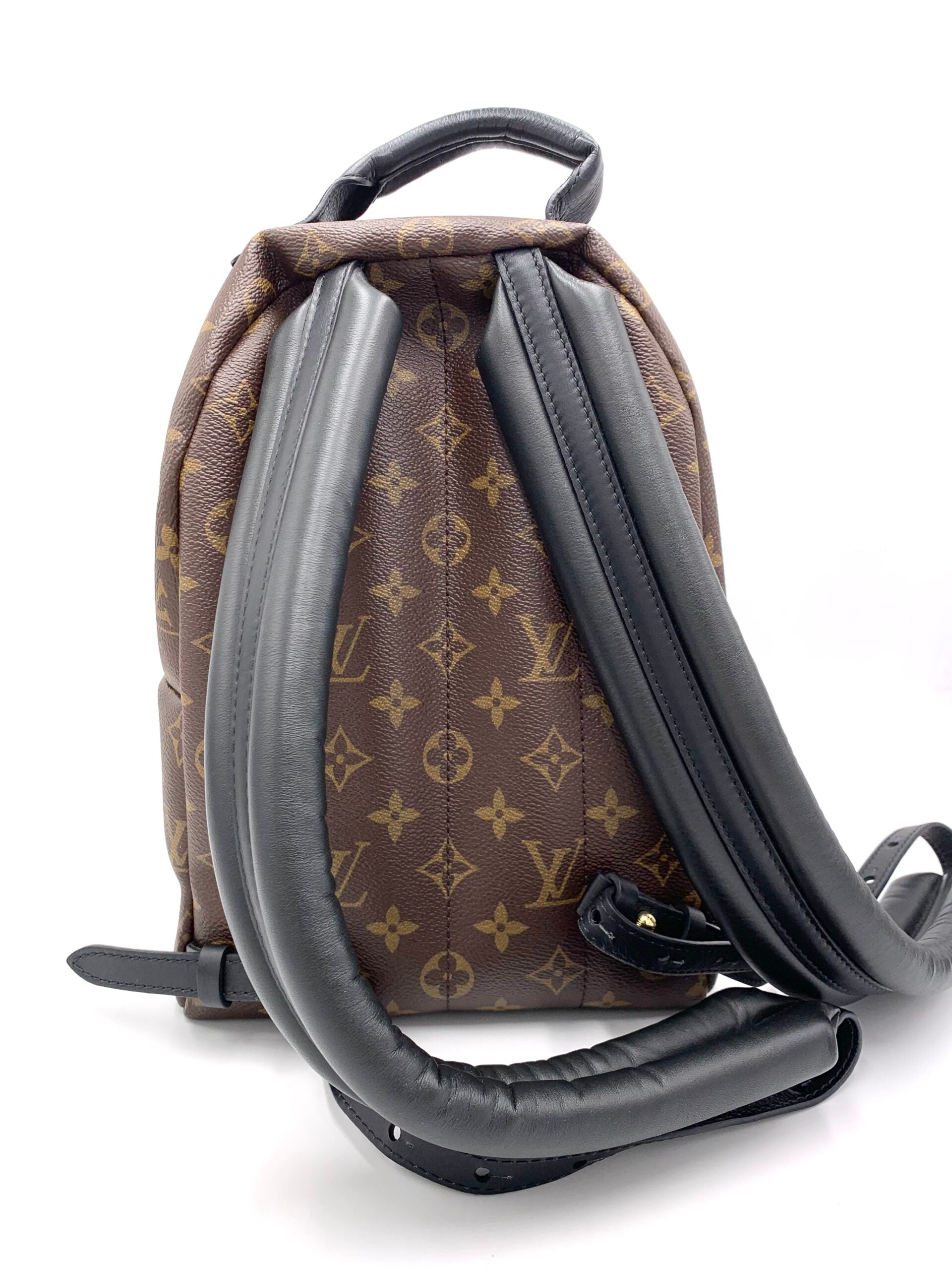 Zaino Louis Vuitton Palm Spring