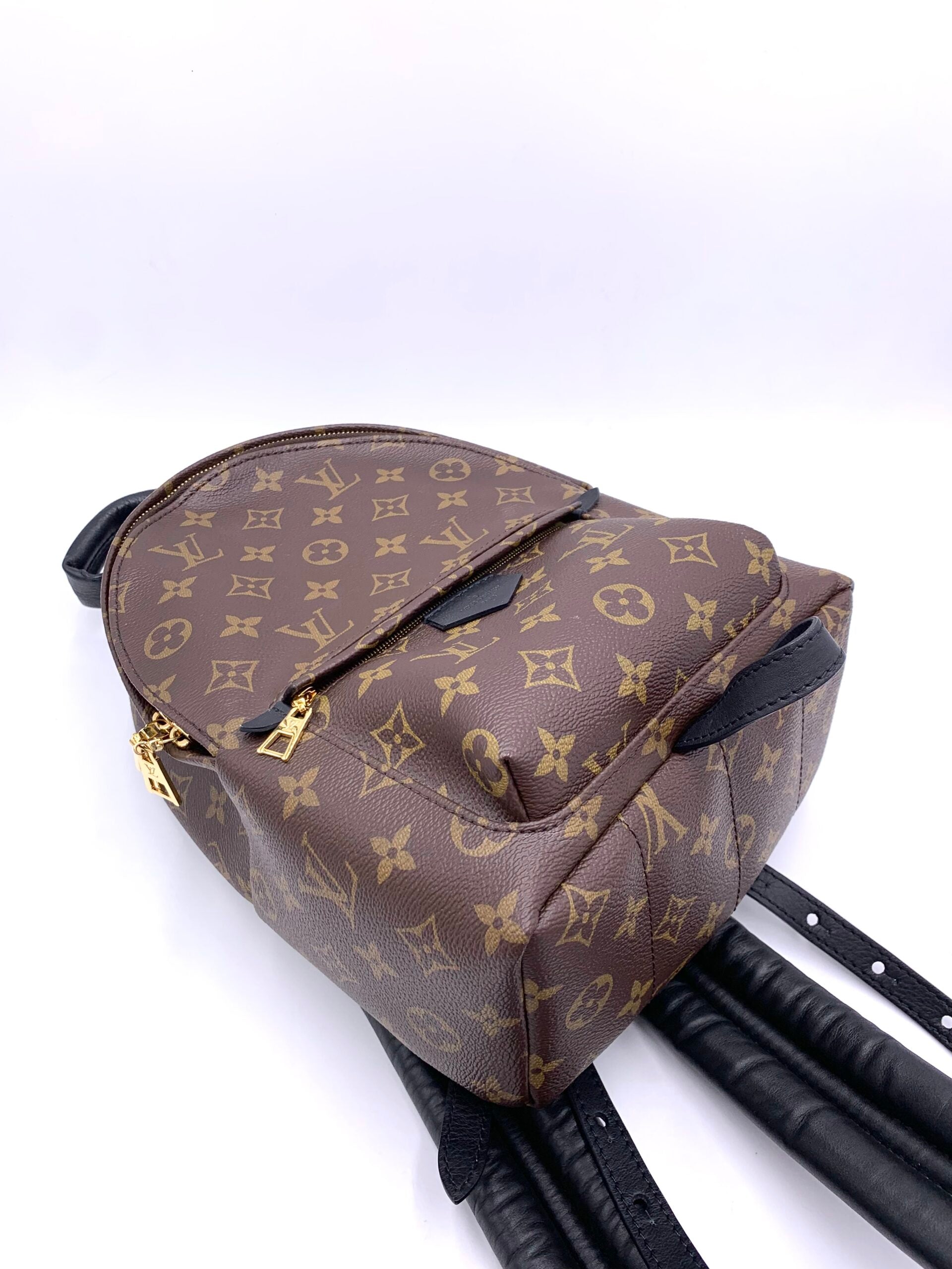 Zaino Louis Vuitton Palm Spring