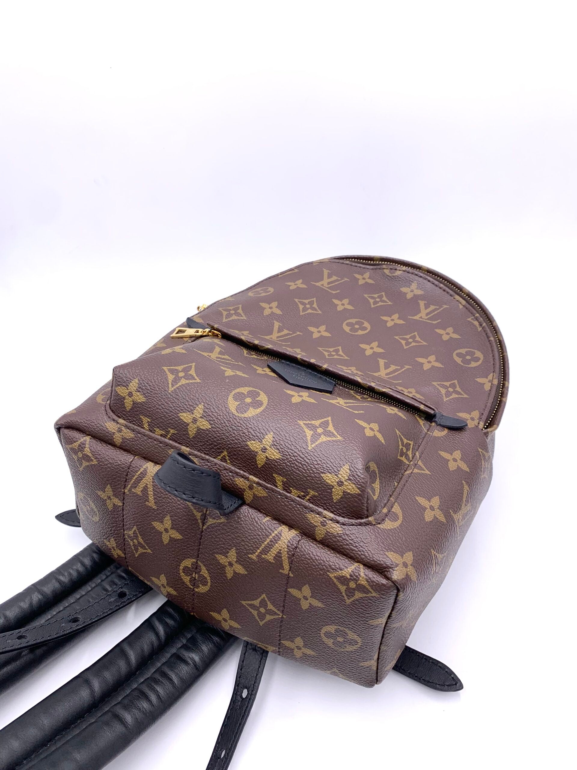 Zaino Louis Vuitton Palm Spring