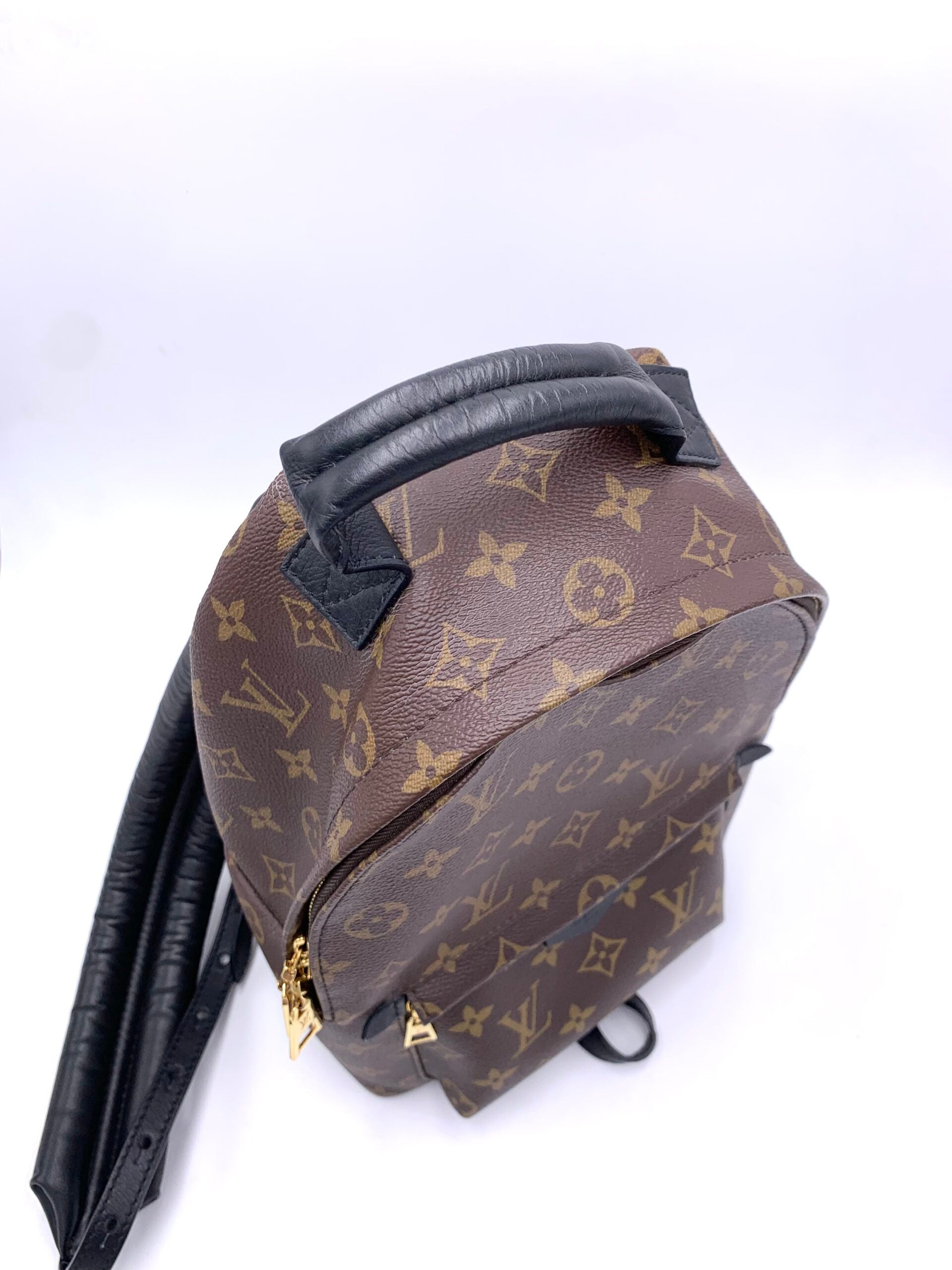 Zaino Louis Vuitton Palm Spring
